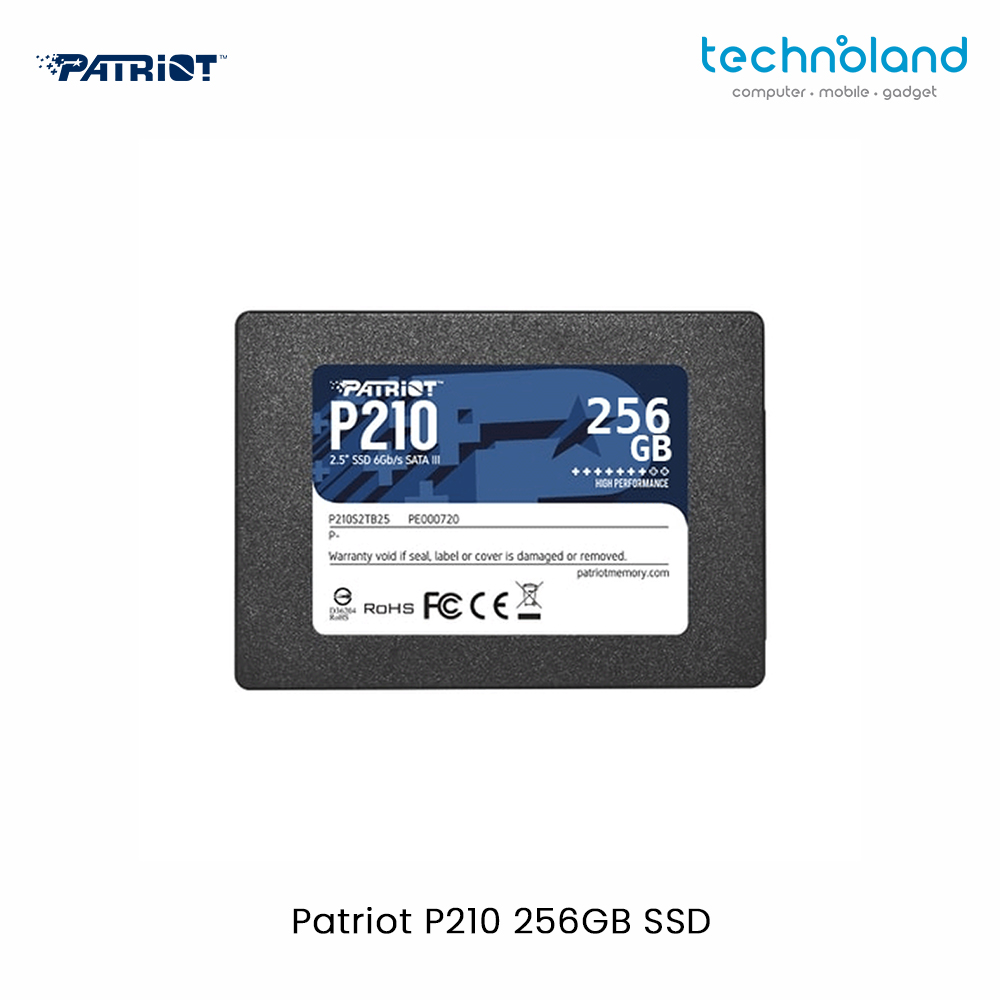 Patriot P210 256GB SSD 1