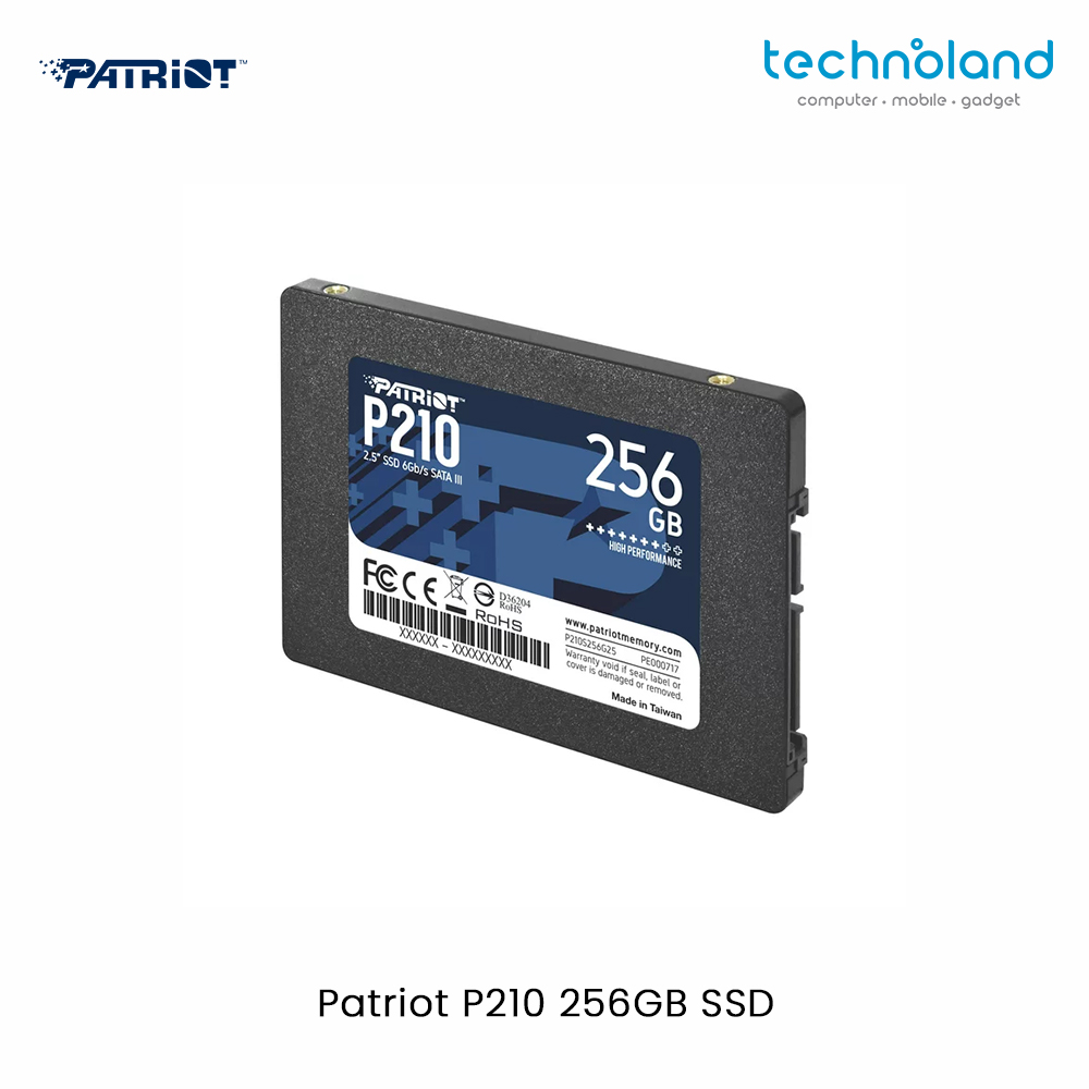 Patriot P210 256GB SSD
